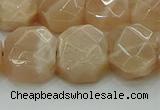 CNG5872 15.5 inches 8*12mm - 12*16mm faceted freeform moonstone beads