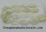 CNG6927 20*30mm - 35*45mm faceted freeform white moonstone beads