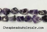 CNG6946 15.5 inches 22*25mm - 25*30mm freeform amethyst beads