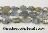 CNG6949 15.5 inches 22*30mm - 30*40mm freeform blue chalcedony beads