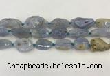 CNG6950 15.5 inches 18*20mm - 22*30mm freeform blue chalcedony beads