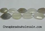 CNG7081 15.5 inches 25*35mm - 35*45mm faceted freeform agate beads