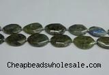 CNG7098 25*35mm - 35*45mm faceted freeform labradorite beads