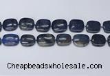 CNG7117 15.5 inches 20*25mm - 25*30mm freeform blue dumortierite beads