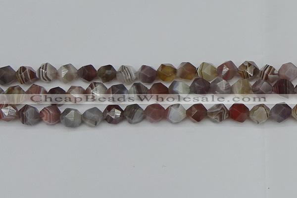 CNG7347 15.5 inches 10mm faceted nuggets botswana agate beads