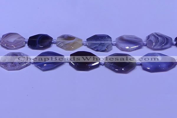 CNG7527 18*25mm - 25*35mm faceted freeform Botswana agate beads