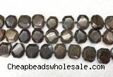 CNG7568 15.5 inches 18*25mm - 20*28mm faceted freeform bronzite beads