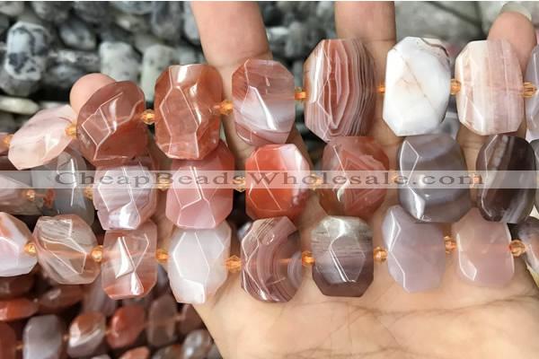 CNG7782 13*18mm - 15*25mm faceted freeform red Botswana agate beads