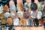 CNG7879 13*18mm - 15*25mm faceted freeform Botswana agate beads