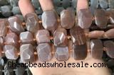 CNG7885 13*18mm - 15*25mm faceted freeform moonstone beads