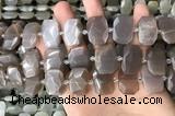 CNG7886 13*18mm - 15*25mm faceted freeform moonstone beads