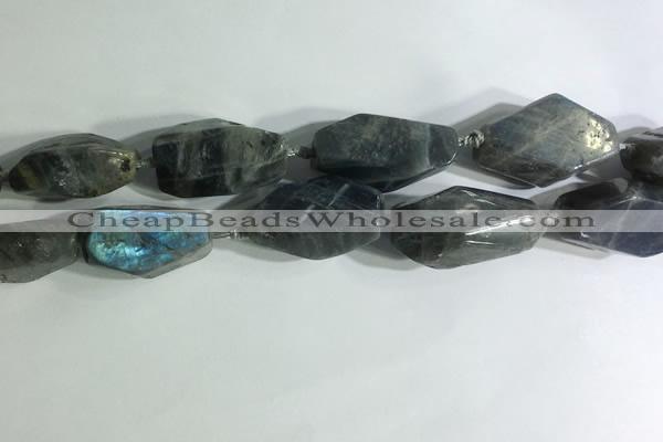 CNG7964 15.5 inches 15*25mm - 20*40mm nuggets labradorite beads