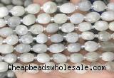 CNG8530 15.5 inches 8*9mm - 9*11mm faceted nuggets moonstone beads