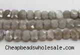 CNG8615 10*13mm - 12*16mm faceted freeform moonstone beads