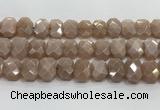 CNG8616 10*13mm - 12*16mm faceted freeform moonstone beads