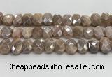 CNG8617 10*13mm - 12*16mm faceted freeform AB-color moonstone beads