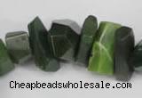 CNG869 15.5 inches 7*14mm – 13*25mm faceted nuggets Canadian jade beads