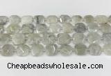 CNG8806 15.5 inches 16mm - 20mm faceted freeform moonstone beads