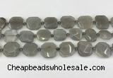 CNG8809 15.5 inches 16mm - 20mm faceted freeform moonstone beads