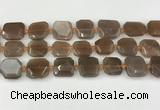 CNG8811 15.5 inches 16mm - 20mm faceted freeform moonstone beads