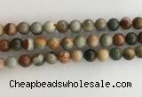 CNI372 15.5 inches 10mm round American picture jasper beads