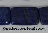 CNL537 15.5 inches 20*30mm rectangle natural lapis lazuli gemstone beads