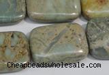 CNS257 15.5 inches 22*30mm rectangle natural serpentine jasper beads