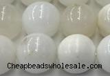 COP1733 15.5 inches 12mm round white opal beads wholesale