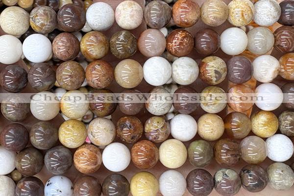 CORA02 15 inches 8mm round fossil coral beads wholesale