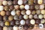 CORA03 15 inches 10mm round fossil coral beads wholesale