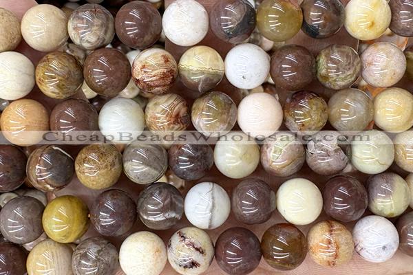 CORA03 15 inches 10mm round fossil coral beads wholesale