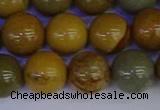 CPJ455 15.5 inches 14mm round wildhorse picture jasper beads