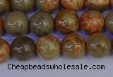 CPJ463 15.5 inches 10mm round African picture jasper beads