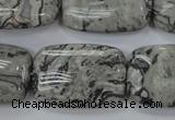 CPT182 15.5 inches 20*30mm rectangle grey picture jasper beads