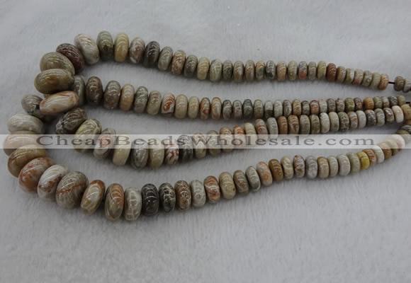 CRB1109 15.5 inches 5*8mm - 9*18mm rondelle chrysanthemum agate beads