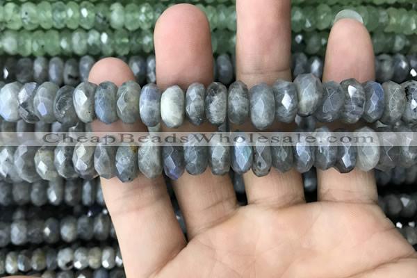 CRB3051 15.5 inches 6*12mm faceted rondelle labradorite beads