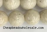 CRJ623 15.5 inches 10mm round white fossil jasper beads wholesale