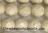 CRJ627 15.5 inches 6mm faceted round white fossil jasper beads