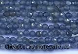 CRZ1171 15 inches 2mm faceted round sapphire beads