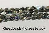 CSB4136 15.5 inches 10*14mm flat teardrop abalone shell beads