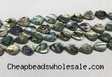 CSB4137 15.5 inches 12*16mm flat teardrop abalone shell beads