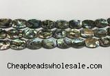 CSB4161 15.5 inches 12*16mm flat drum abalone shell beads wholesale