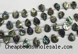 CSB4186 Top drilled 10*14mm flat teardrop balone shell beads