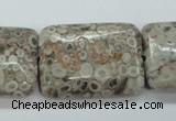 CSF10 15.5 inches 22*30mm rectangle shell fossil jasper beads