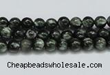 CSH01 15.5 inches 6mm round natural seraphinite gemstone beads