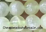 CSJ312 15.5 inches 7mm round serpentine new jade beads