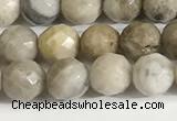 CSL157 15.5 inches 6mm faceted 

round sliver leaf jasper beads