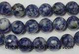 CSO303 15.5 inches 10mm faceted round Brazilian sodalite beads