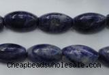 CSO359 15.5 inches 11*18mm trihedron natural sodalite beads