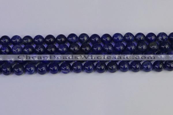 CSO504 15.5 inches 12mm round sodalite gemstone beads wholesale